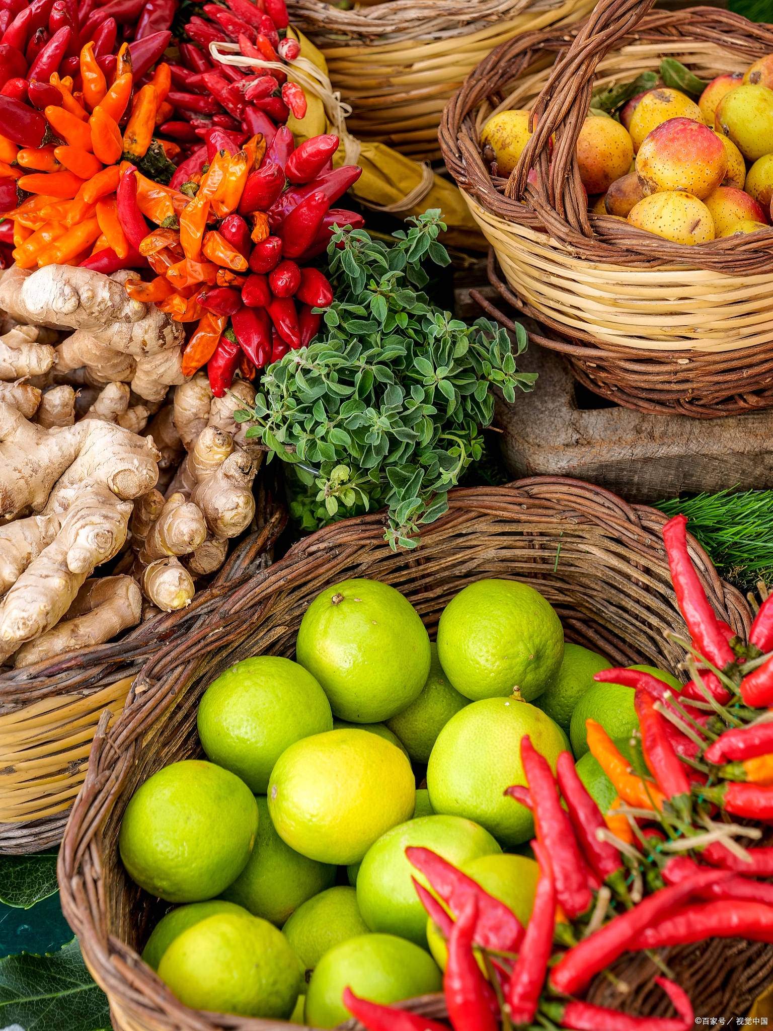 重庆生态农产品品牌建设新篇章 中草药种植园域名出售引发文化关注