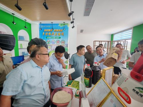 天华镇马庙村 农机精英庐江聚首，技术赋能乡村振兴新篇章