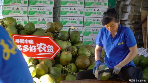 拼多多借力消博会，推动国内农产品品牌升级，迈向国际精品新舞台